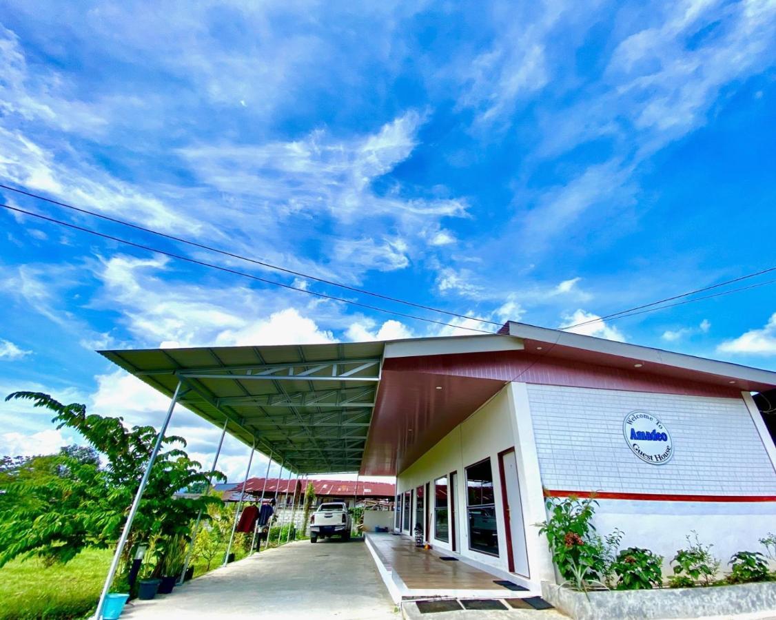 Amadeo Guest House Ratodena Ngoại thất bức ảnh